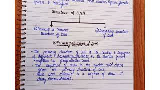 DNAPrimary structure of DNA [upl. by Rumpf]