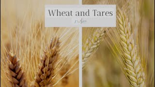 The wheat and the Tare your success is their Judgment 🎯 [upl. by Nylaehs]