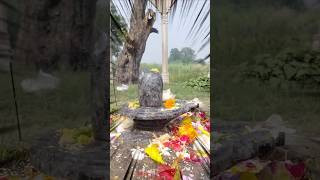 Jay Mahakal ki bhakti  Mahadev ki gana  bhaktisatido bhaktiwalayoutuber  viral video š¨š€ [upl. by Eiba]