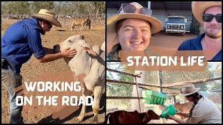 What its like working on a Cattle Station in Outback Australia  NT EP 7  VANLIFE [upl. by Tildi]