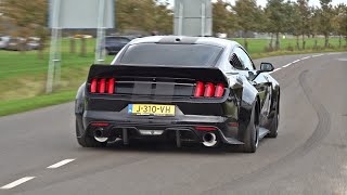 BEST OF FORD MUSTANG SOUNDS Shelby GT500 Alphamale Widebody GT350 RTR Widebody Royal Crimson GT [upl. by Conrado]