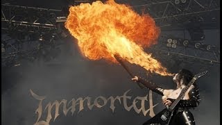 Immortal  Solarfall Sub EspañolLyrics English [upl. by Behn]