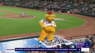 Altoona Curve mascot selected as finalist for Mascot Hall of Fame [upl. by Schreibe]