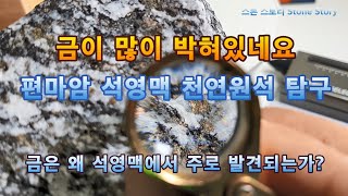 금이 많이 박혀있네요 편마암 석영맥 천연원석 탐구 금은 왜 주로 석영맥에서 발견되는가 [upl. by Enoval164]