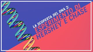 Esperimento Hershey e Chase  Pillole di Scienza [upl. by Roux857]