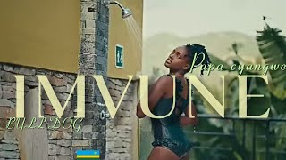 PAPA CYANGWE  IMVUNE FT BULL DOG  OFFICIAL REFIX VIDEO [upl. by Llenram]