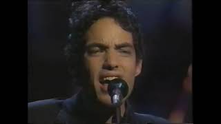 The Wallflowers  UNPlugged [upl. by Wilinski]