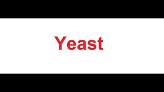 Yeast meaning in Hindi [upl. by Valerle]