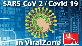 SARSCoronavirus2 data in ViralZone [upl. by Ikkela968]