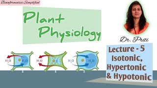 Plant Physiology I Lecture 5 Hypertonic Hypotonic amp Isotonic solutions I Bioinformatics Simplified [upl. by Yursa177]