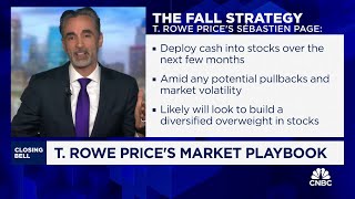 T Rowe Prices Sebastien Page bullish case for international small caps [upl. by Ennovi]