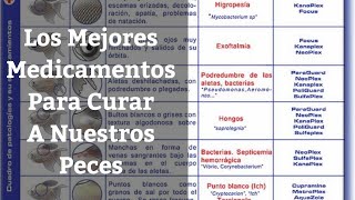 🔵 Los Mejores Medicamentos Para Curar Las Enfermedades Más Comunes De Nuestros Peces [upl. by Ilzel280]