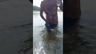 Viral fishing video Viral hook fishing shortsvideo shorts fish [upl. by Rudolfo]