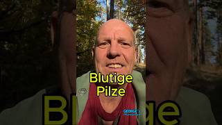 Blutige Pilze [upl. by Otreblanauj]