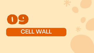 STPM BIOLOGY SEM 1 CHAPTER 2  ORGANELLES  PLANT CELL WALL  STRUCTURE amp FUNCTION  PLANT CELL [upl. by Ait929]