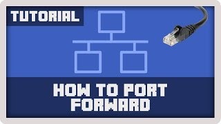 Server Tutorial How to Set Up Port Forwarding [upl. by Yhtuv535]