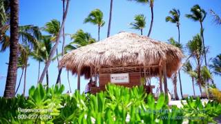 Occidental Punta Cana  Occidental Hotels amp Resorts [upl. by Valente]