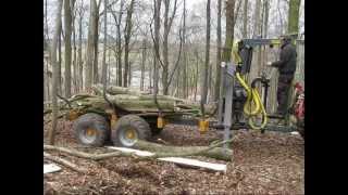 Steyr 4065 mit Källefall Rückewagen K90 und EigenbauFunkwinde [upl. by Marsiella]