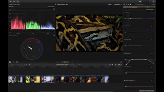 Final Cut Pro X Étalonnage4  Courbes HSL amp Continuité [upl. by Ydnamron]