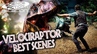 Best Velociraptor Scenes In The Jurassic World Franchise  Science Fiction Station [upl. by Rhodes]