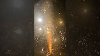 Wow semaya irukku 😱 Lemon tree Silver from Ayyan fireworks fireworks crackers2024 shortvideo yts [upl. by Nelle]