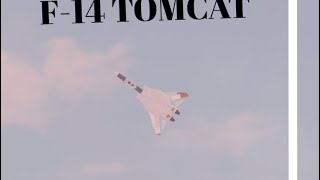 F14 Tomcat showcase plane crazy [upl. by Muriel]