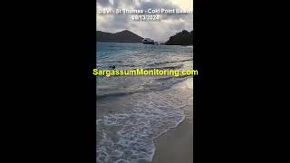 2024 Sargassum Monitoring® Official  08292024 USVI  St Thomas [upl. by Laehcimaj338]