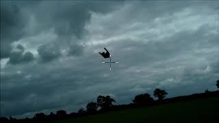 Wood pigeon Shooting over standing Wheat [upl. by Mita]