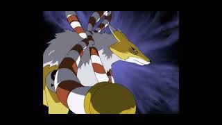 DIGIMON tamers 2001 Digivolution Matrix Digivolution Biomerge Digivolution [upl. by Silbahc]