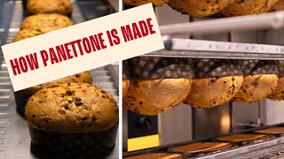 How Panettone Is Masterfully Crafted in Italy [upl. by Evin]