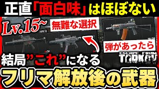 【タルコフ】フリマ解放後レベル1523のオススメ武器解説！！中盤も同じ武器になりそうな件 Escape from Tarkov 【もやし実況】 [upl. by Koorb]