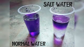 SIMPLE EXPERIMENT OF SALT DENSITYSALT hydralyte Saltreduction saltreduction salttablets [upl. by Essyle]