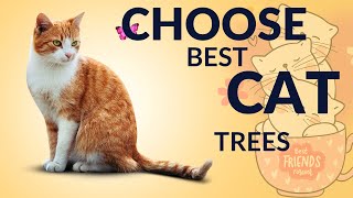 Best Cat Trees for Your Feline Friends Ultimate Guide to Choosing the Perfect Cat Tree 🐱 [upl. by Janot40]