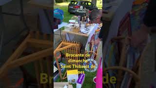 Brocante de dimanche em Saint Thibault de vignes  France 🇫🇷 [upl. by Becka]