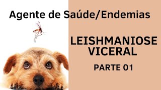 Leishmaniose Visceral  Agente de Combate à Endemias e Agente Comunitário de Saúde  Parte 01 [upl. by Maples]