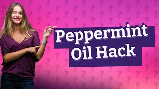 What is the best homemade rat repellent [upl. by Sawtelle507]