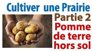 Cultiver la pomme de terre sous paille en permaculture  Cultiver une prairie sans labour 2 [upl. by Maon]