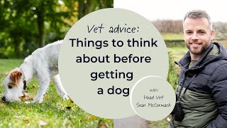 Things to think about before getting a dog [upl. by Merp]