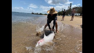 Land Based Shark Fishing QLD [upl. by Ainat90]