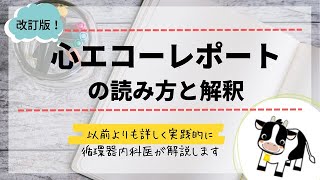 心エコーレポートの読み方循環器内科医が解説します [upl. by Davis605]