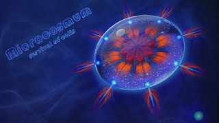 Microcosmum Survival Of Cells 6  Static  FULL WALKTHROUGH  Статик  ПОЛНОЕ ПРОХОЖДЕНИЕ [upl. by Adnor]