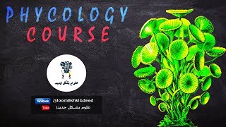 محاضرات كورس Phycology  محاضرة 5 Divisions charophyta bacillariophyta and pyrrophyta [upl. by Karli]