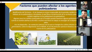 Factores que afectas a los agentes polinizadores [upl. by Guttery]