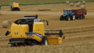 Nieuwe New Holland TC5070 combine Trekkerweb testdrive [upl. by Nosirrag]