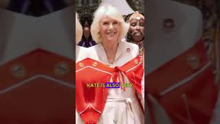 Camilla lampooned kate as an uneducated princess foryou royalsfamily youtube fyp camilla [upl. by Gnot194]