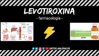 Levotiroxina ⚡️ farmacocinética y farmacodinámia ⚡️ mecanismo de acción de la hormona tiroidea [upl. by Doniv]