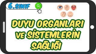 Duyu Organları ve Sistemlerin Sağlığı 📗 6Sınıf Fen 2023 [upl. by Enirhtac138]