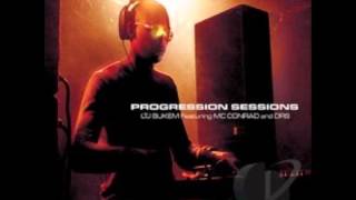 LTJ BUKEM Progression Sessions 5 Sky Line Track 1 [upl. by Ennovehc]