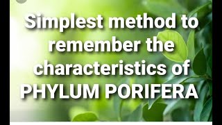 SIMPLEST METHOD TO REMEMBER THE CHARACTERISTICS OF PHYLUM PORIFERA [upl. by Isus]