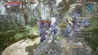 BLACK DESERT ONLINE  GAMEPLAY 489 [upl. by Sera]